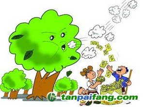 深度解析國有林場開發森林經營碳匯前景分析及有哪些相關問題的對策匯總