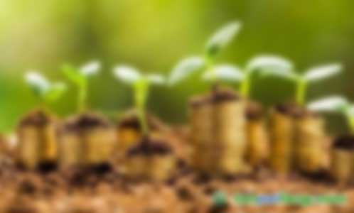 能做林業碳匯項目第三方審定與核證的機構有哪些？