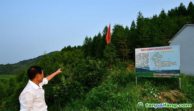 河南新縣推進碳匯交易 探索生態扶貧新路徑