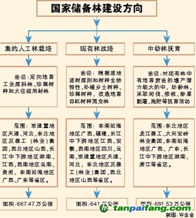 國家儲備林，儲備我們的未來