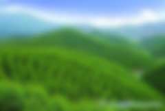 林業碳匯林補貼騙局是怎么回事兒？