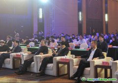 2019中國綠色城市指數TOP50發布，哪些城市是綠色標桿？