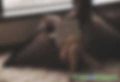 減少居家生活的碳足跡 讓生活變得更環保