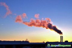 人社部碳交易師和碳排放管理師哪個好？證書有用嗎？再哪里報考的官方報名入口來了