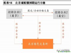 什么是碳掉期？市場發展現狀如何