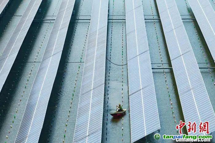 江蘇常州“漁光互補”光伏發電，實現經濟效益和生態效益雙豐收。泱波 攝