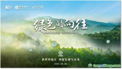 用綠色譜寫未來 中信銀行發布首支低碳主題音樂故事片《綠色的向往》