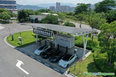 中國“雙碳”目標引領儲能行業加速布局助力綠色發展